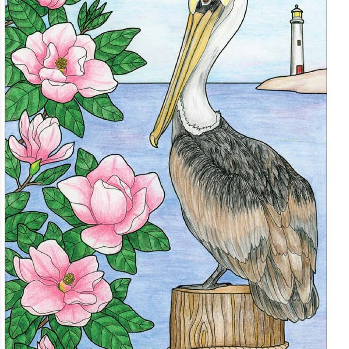 Wellspring – Großhandel Mal- & Aktivitätsbuch – Erwachsene – Malbuch - Vögel zu Hause3