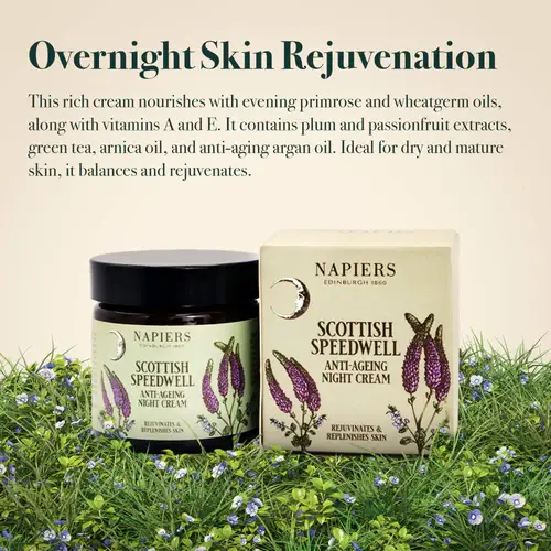 Napiers – wholesale Anti-aging moisturiser – Napiers Speedwell Ageless Night Cream5