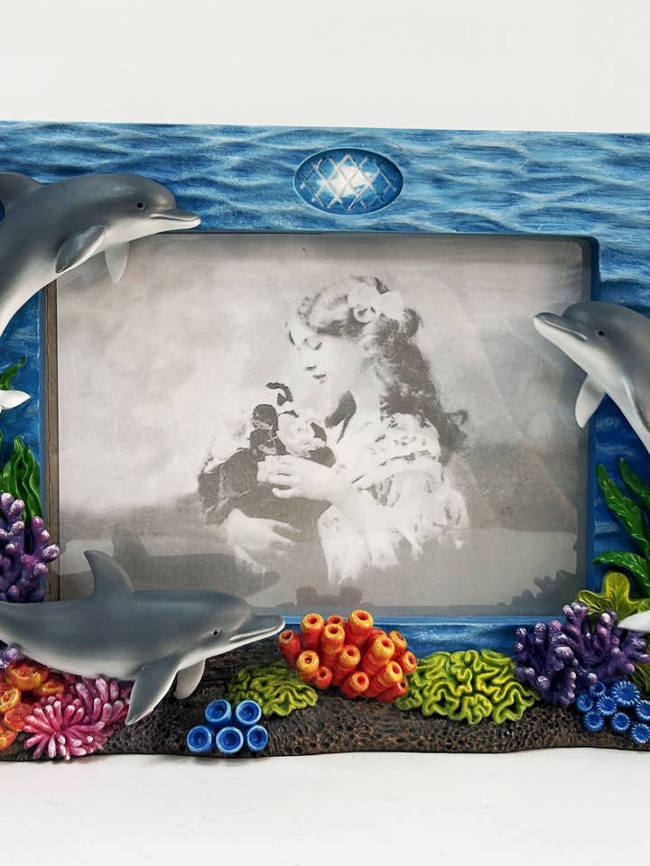 Cadre 4X6 Dauphin pour la vente par ZIZO USA INC