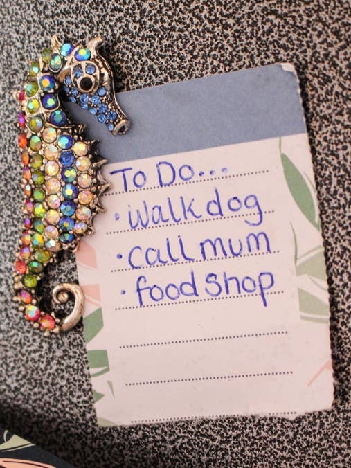 Seahorse Coloured Diamante Magnet for wholesale by Wildtouch