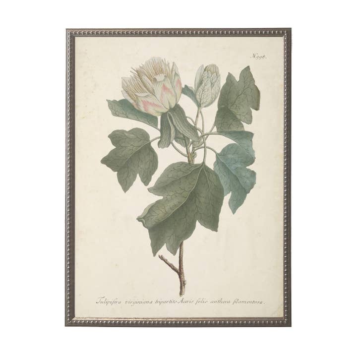 Vintage flower W bookplate on distressed background for wholesale by Antique Curiosities Inc