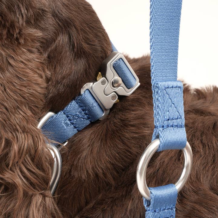 Nordog - Wholesale Pet Leash - Dog - Performance Dog Leash (dusty blue)1