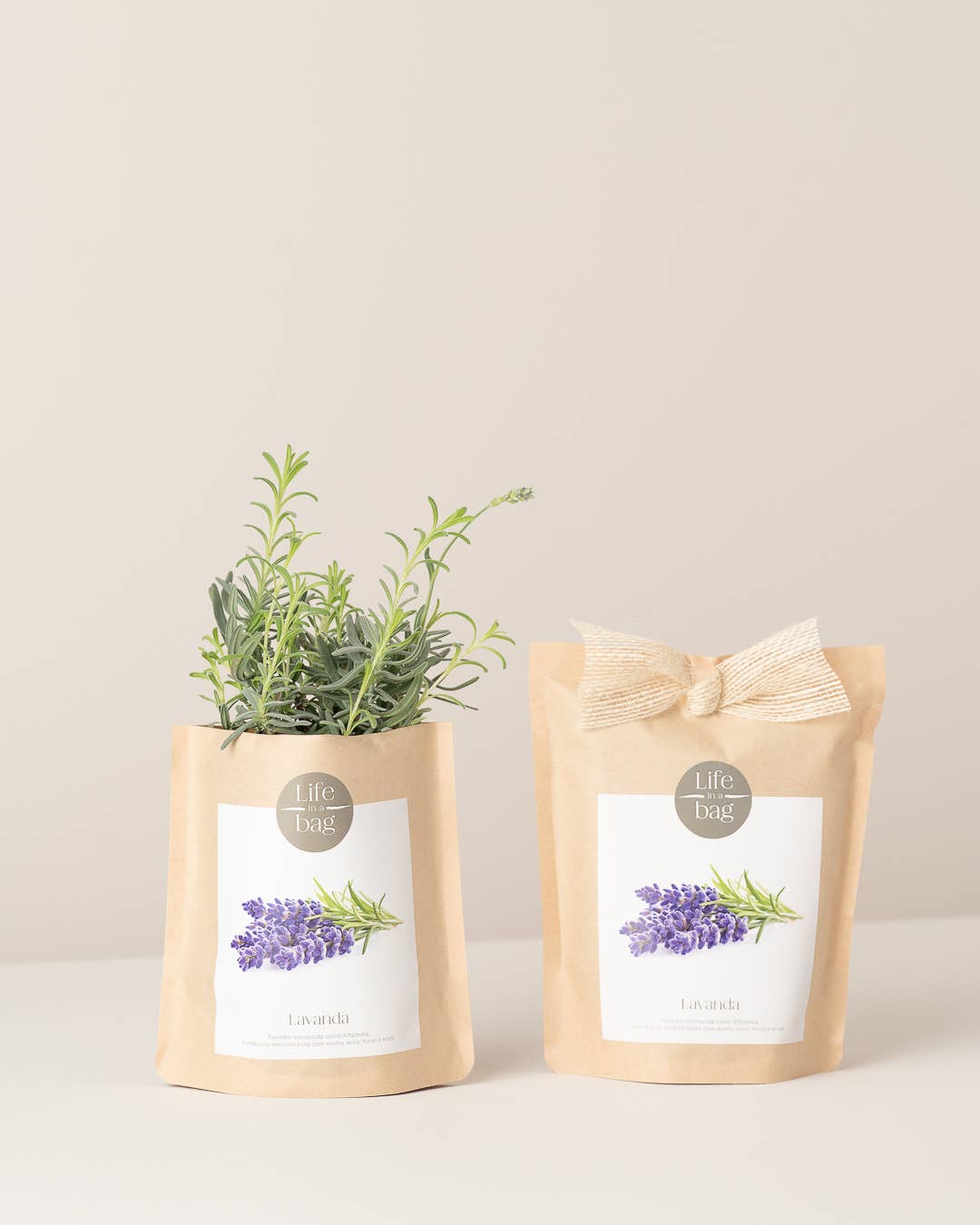 Life in a bag - Wholesale Plant Seeds - Grow Bag Lavender0