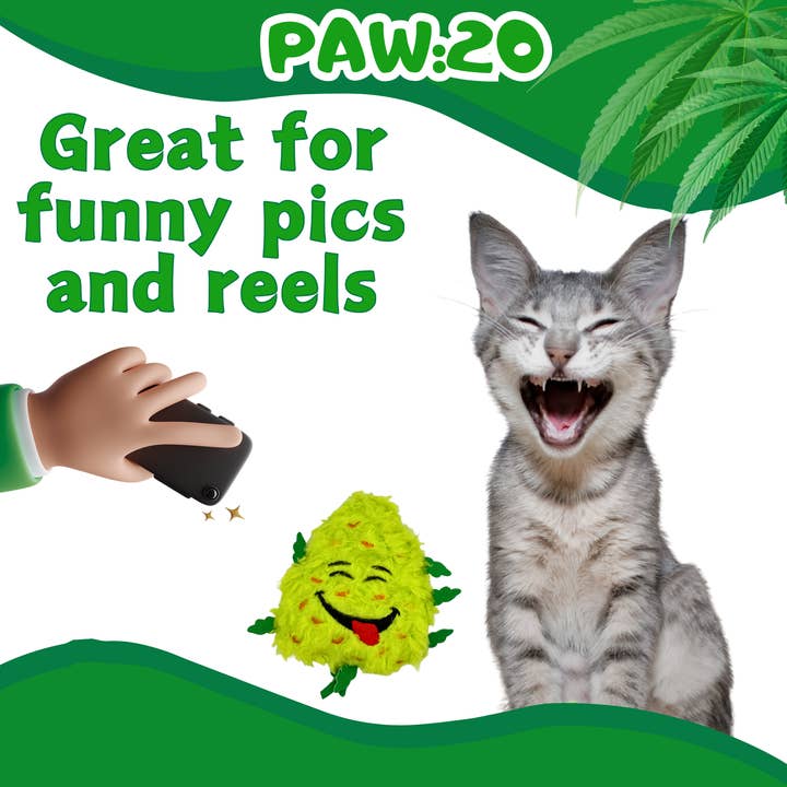 PAW:20 - Vente Jouet – chat - Bud Jr. le Bourgeon d'Herbe, Jouet Parodique en Peluche avec Herbe à Chat pour Chat4