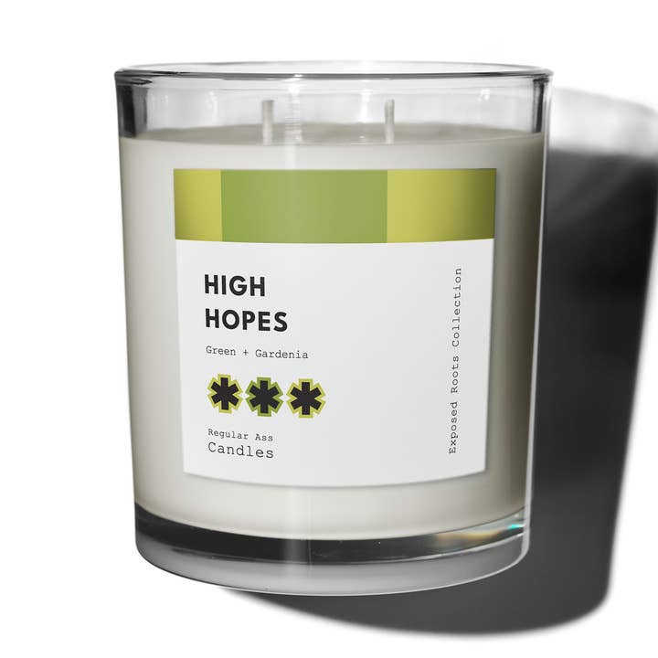 High Hopes, Green + Gardenia 11oz Luxury Candle for wholesale by Regular Ass Candles