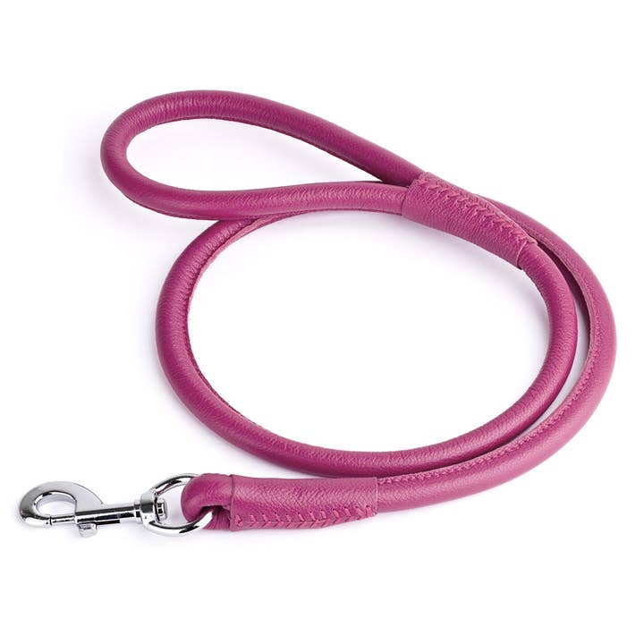 Dogline - Vente Laisse – chien - Laisse ronde en cuir souple30