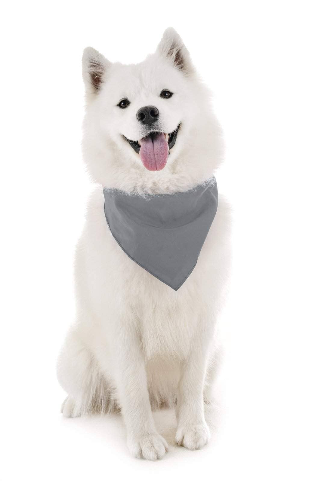 Auction Clearance - Vente Bandana – chien - Bandanas solides Balec pour chien, 4 pièces, écharpe et bavoir triangulaires pour tous les animaux de compagnie de petite, moyenne ou grande taille9