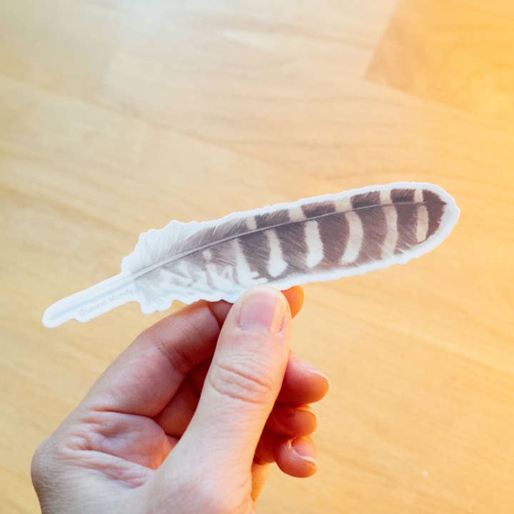 Gevlekte Uil Veer 12,07 cm x 2,54 cm Vinyl Sticker voor wholesale door Laurel Mundy Illustration