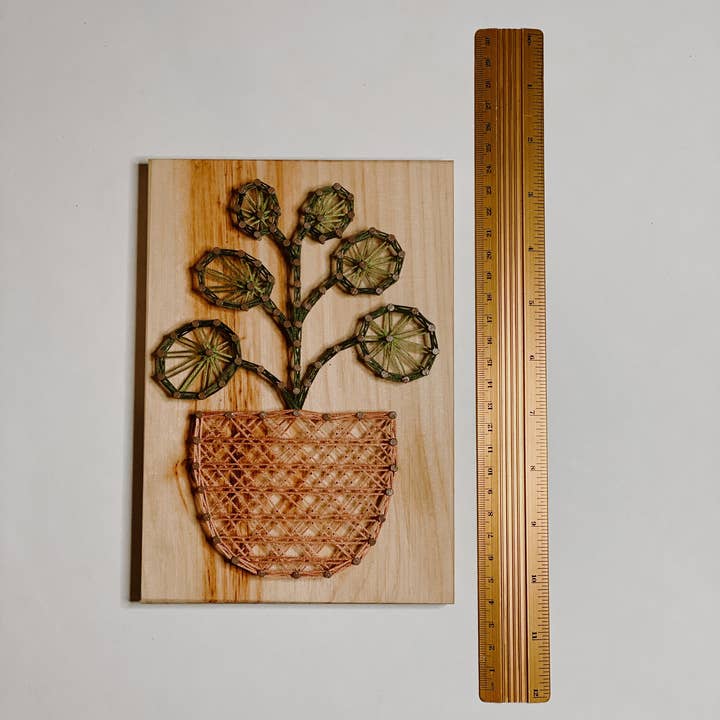 Knot Really Art - Wholesale DIY Craft Kit - Pilea Plant DIY String Art Kit