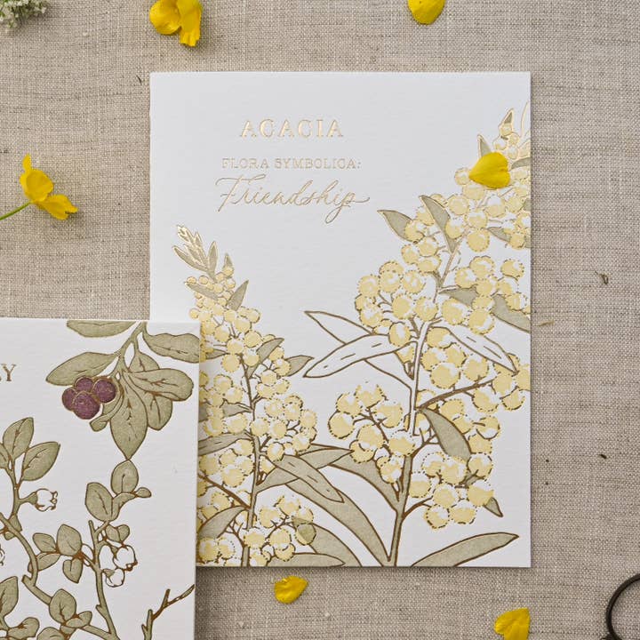 Ciarra Claire - Wholesale Friendship Card - Acacia | Language of Flowers Greeting Card3