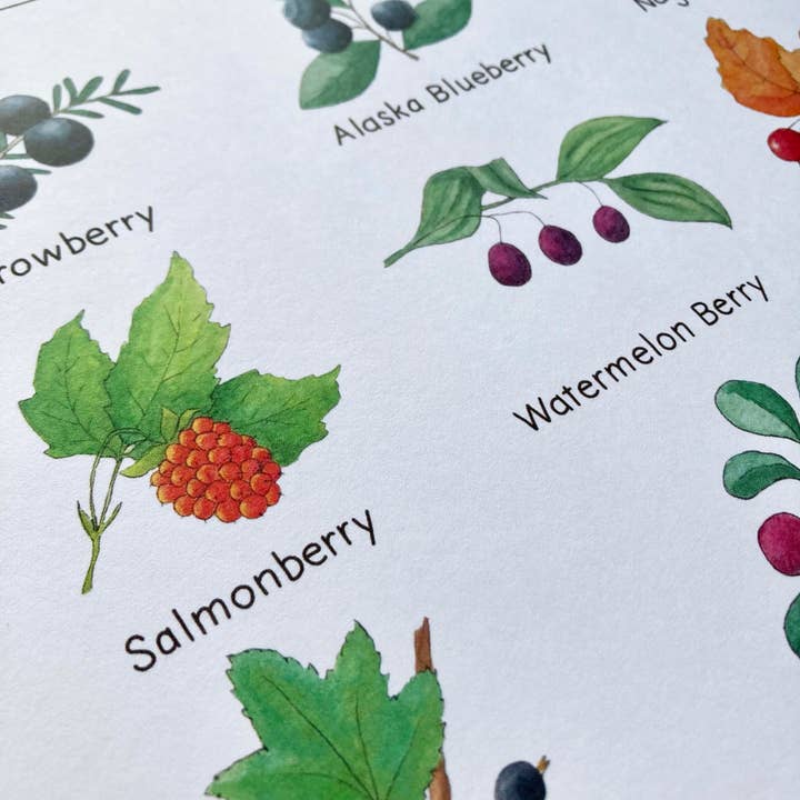Tiny Nest Studio - Venta al por mayor Ilustración - Lámina artística Berries of Alaska4