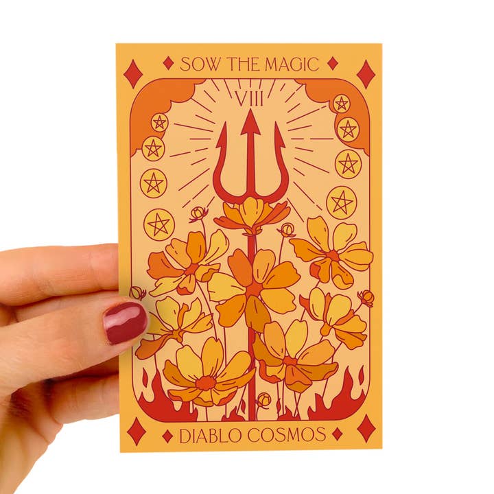 Sow the Magic - Vendita all'ingrosso Semi di piante - Pacchetto di Semi di Tarocchi Diablo Cosmos0