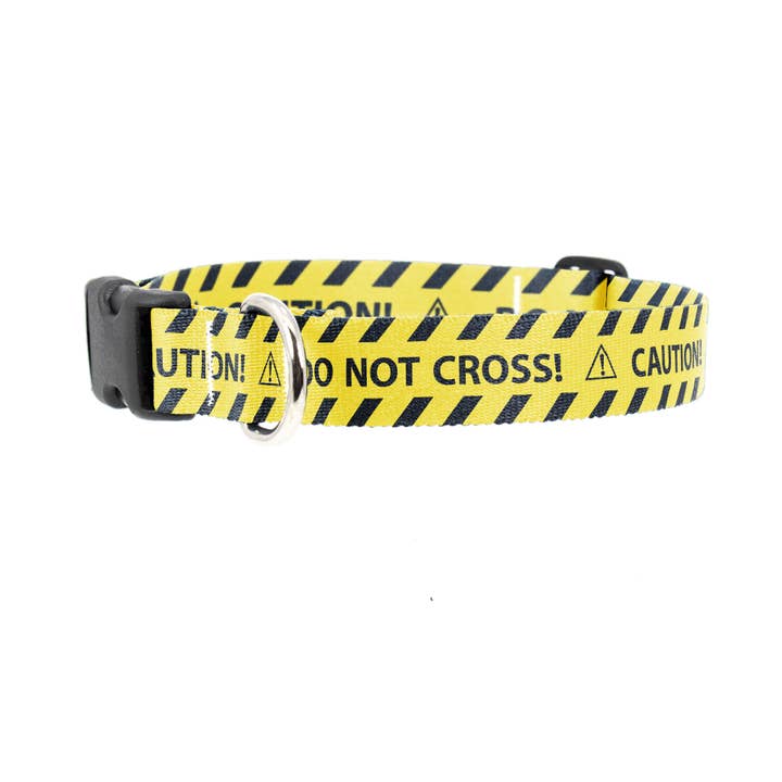 Caution Dog Collar - Made in the USA for wholesale by Buttonsmith