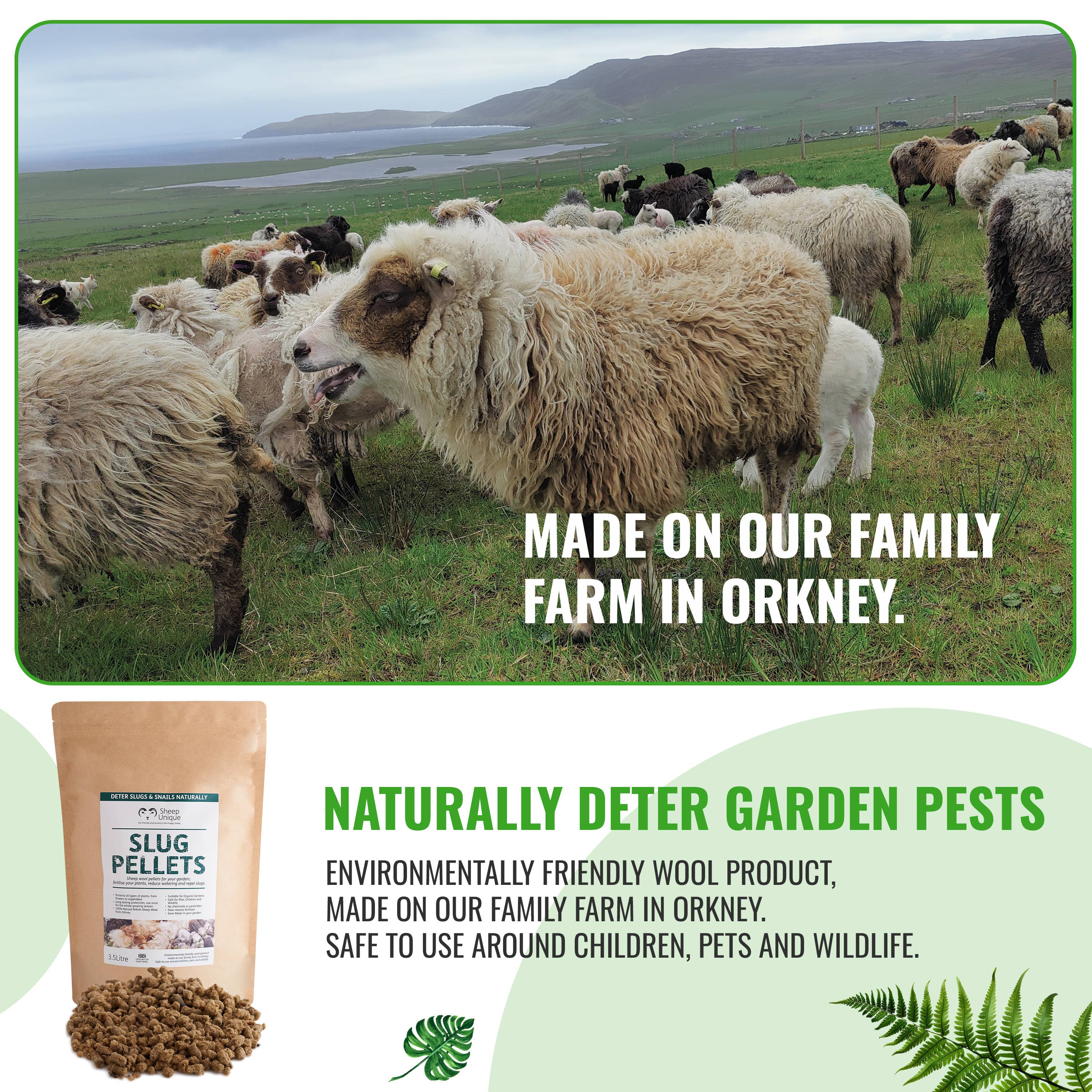 Sheep Unique - Wholesale Planting/potting soil - Slug Wool Pellets - 100% Wool, Pest Repellent, 3.5L / 7.3pts1