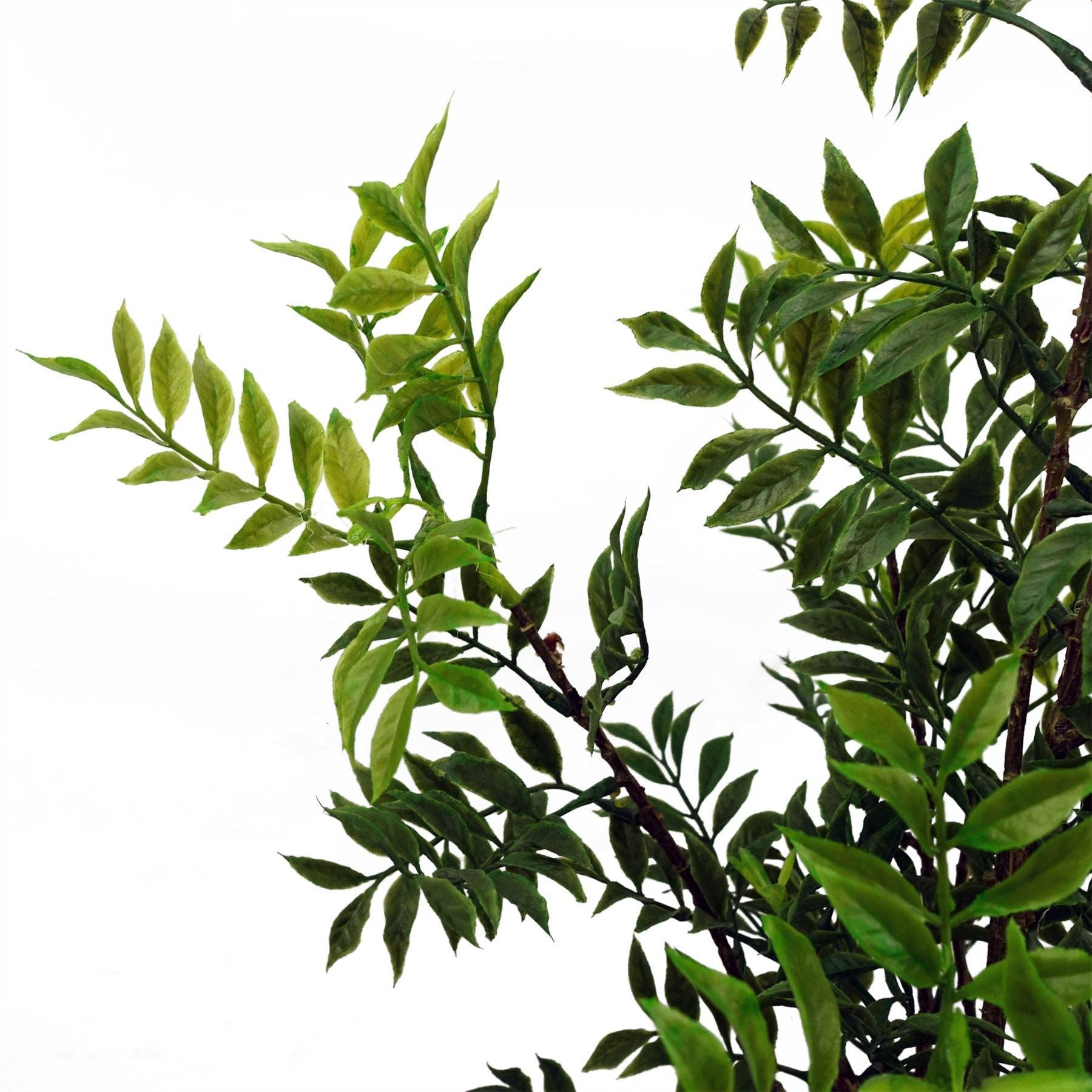 Leaf Design UK LTD - Vendita all'ingrosso Piante artificiali - Albero di Ficus Bonsai Nandina Artificiale da 60 cm Design Foglia2