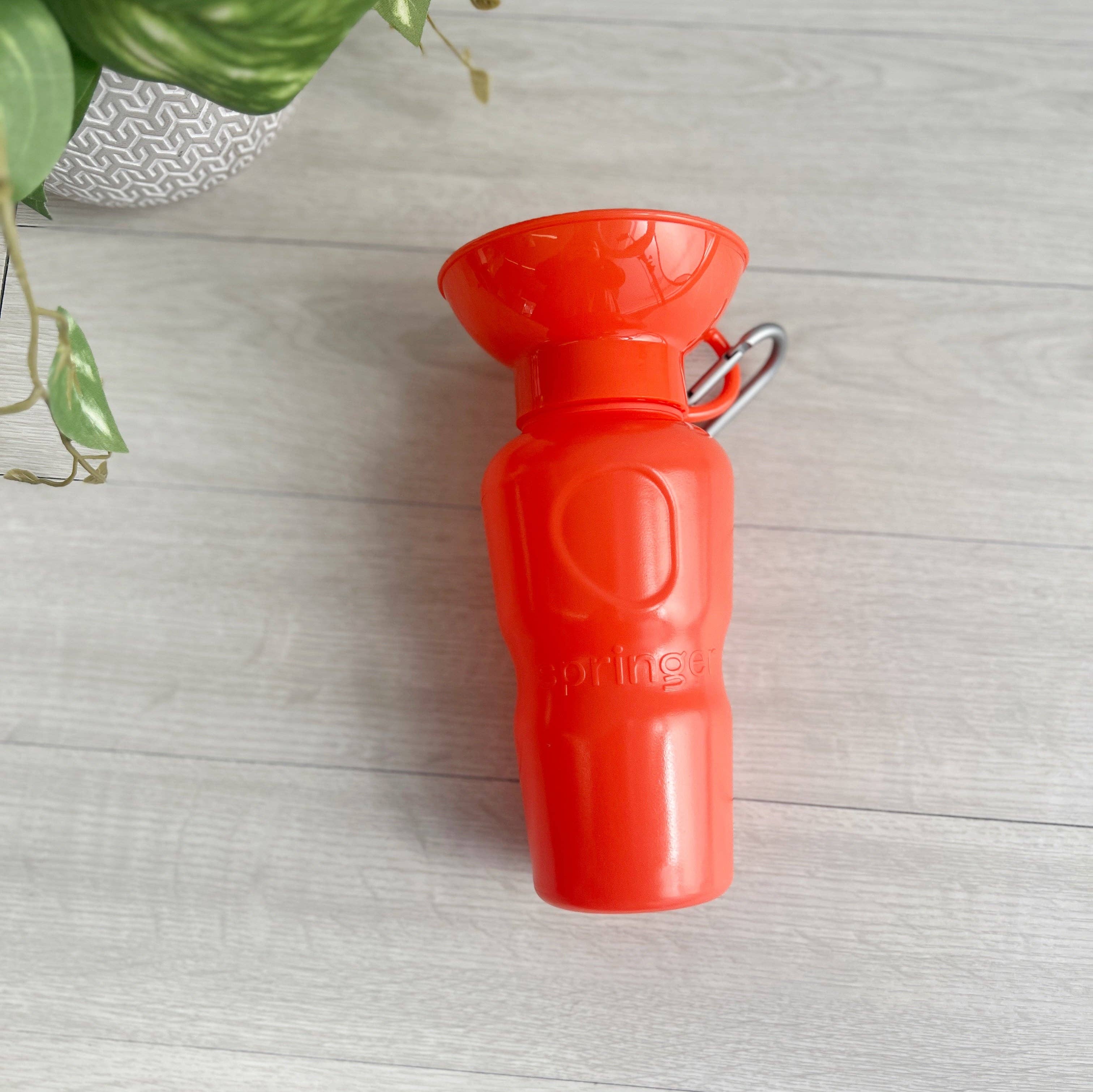 My Pawchella – wholesale Pet water bottle – Dog – Springer Water Bottle2