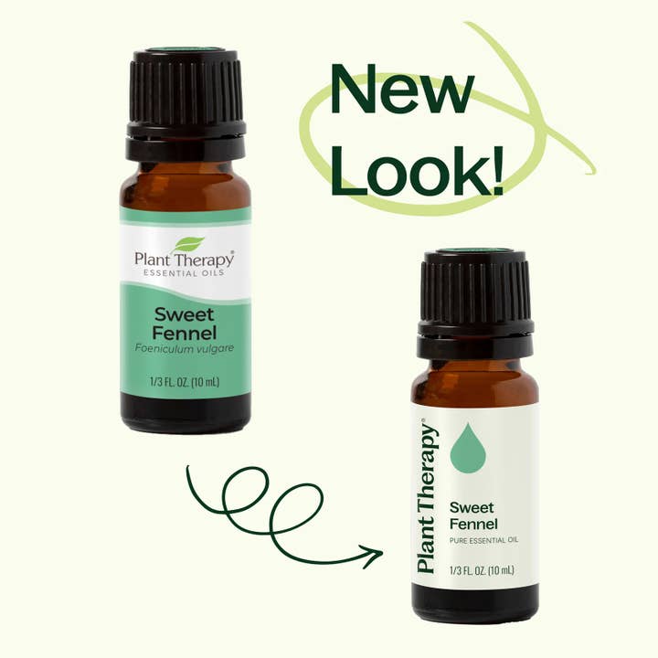 Plant Therapy - Wholesale Essential Oil - Sweet Fennel Essential Oil 10 mL2