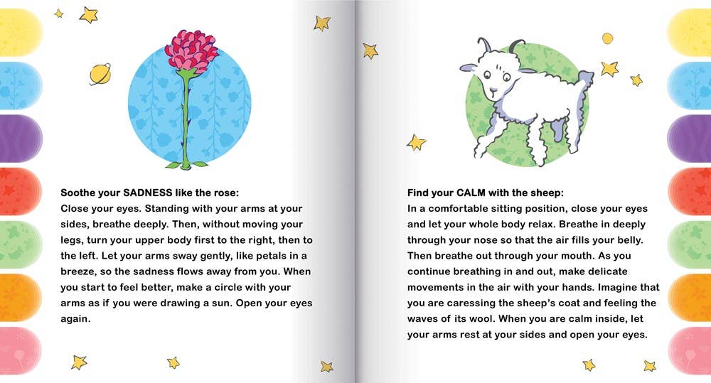 Independent Publishers Group - Wholesale Preschool Book (3-5) - Little Prince: My Book of Feelings10