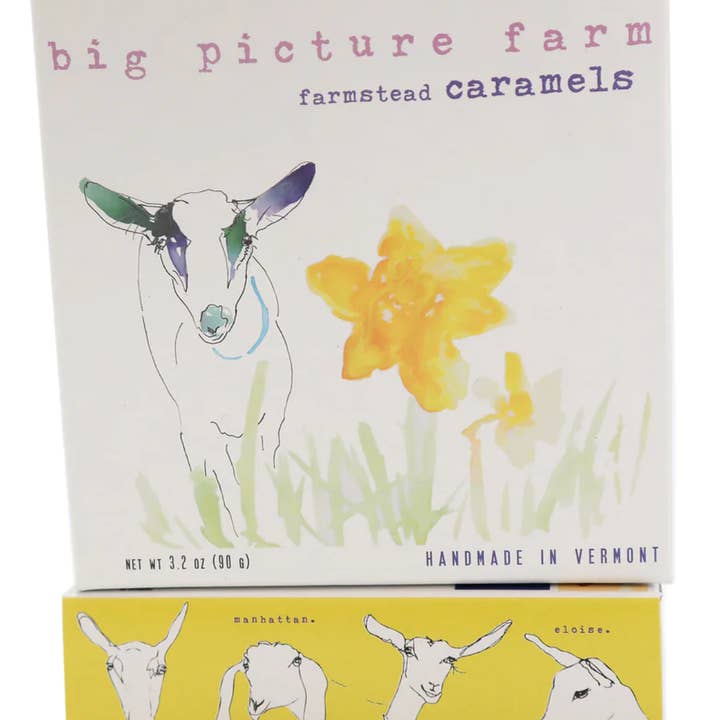 Big Picture Farm - Wholesale Caramel - Daffodil Goat Milk Caramel Box (Spring!)