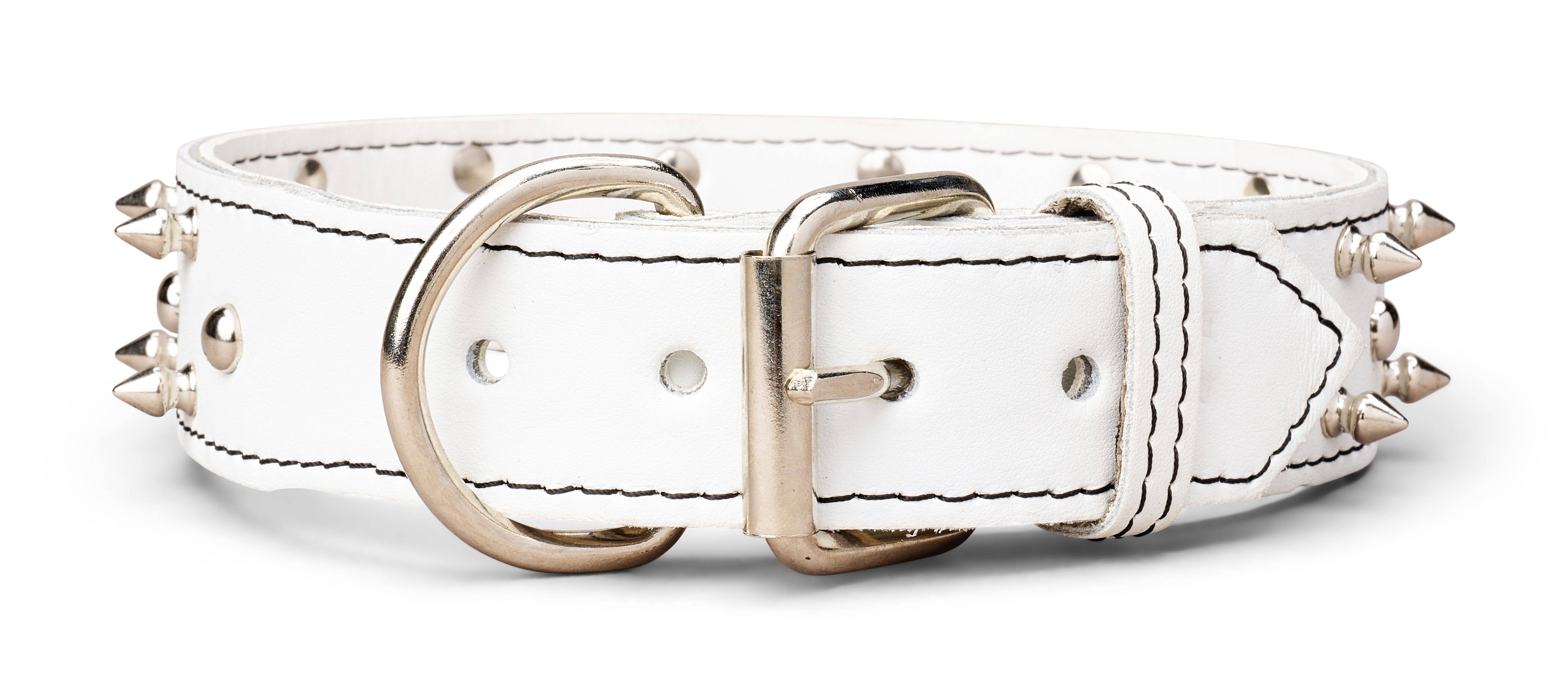 TOP DOG BRAND INC - Vente Collier – chien - Colliers en cuir à pointes de 1 3/4 pouce de large13