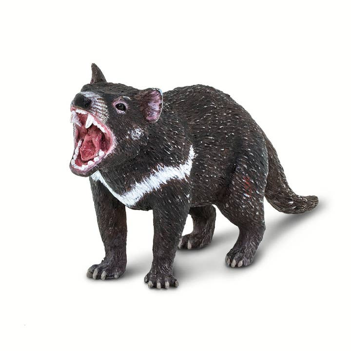 Safari Ltd. - Wholesale Figurine Toy - Kids - Tasmanian Devil - 1002471