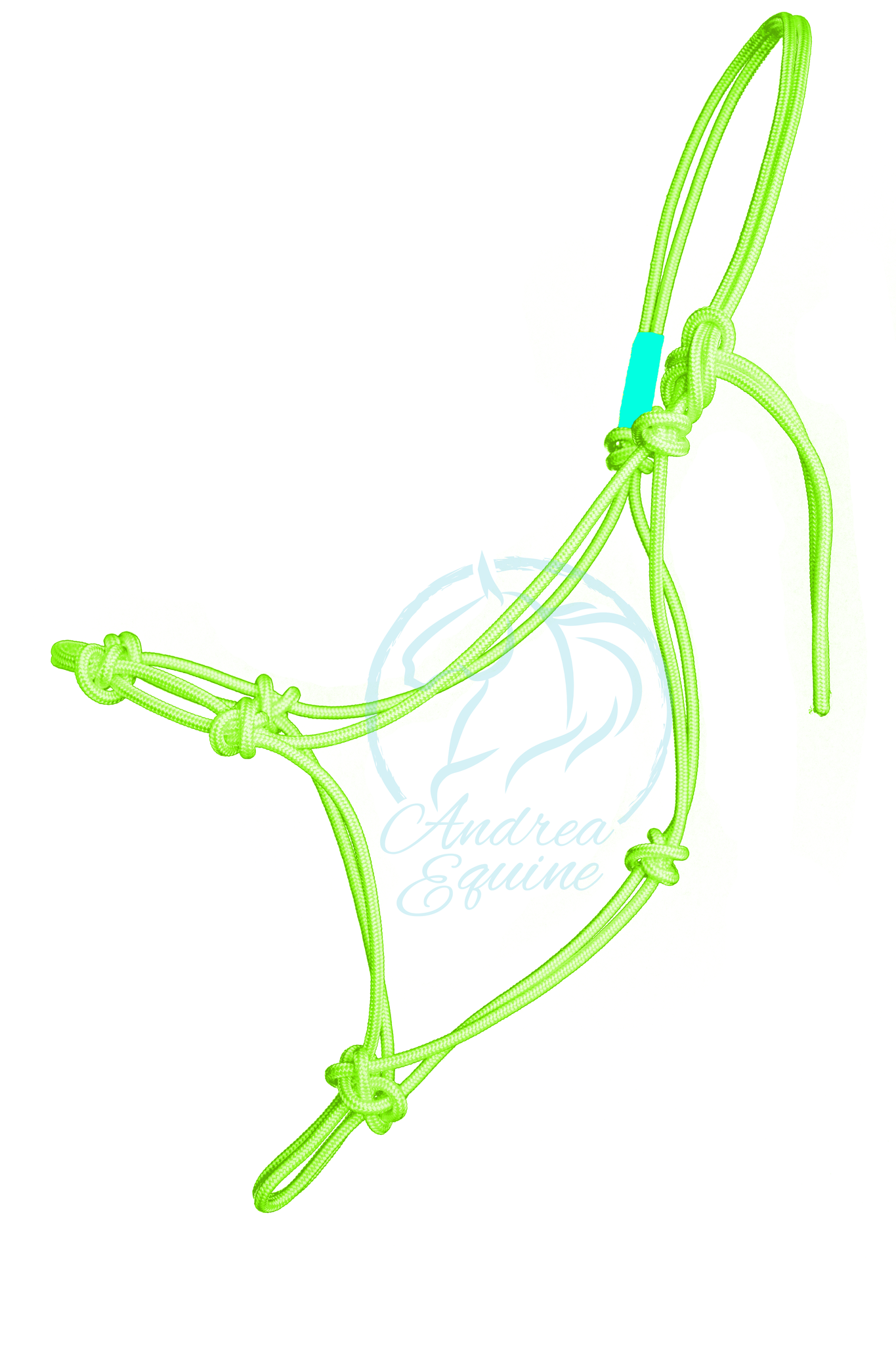 Andrea Equine - Wholesale Paardrijuitrusting - Stijf trainingshalster voor clinici met 4 knopen3