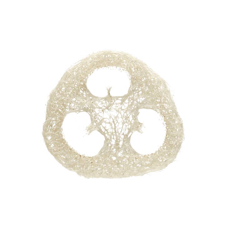 Well Kept - Wholesale Loofah - Gourd Exfoliating Loofah (plastic-free)3