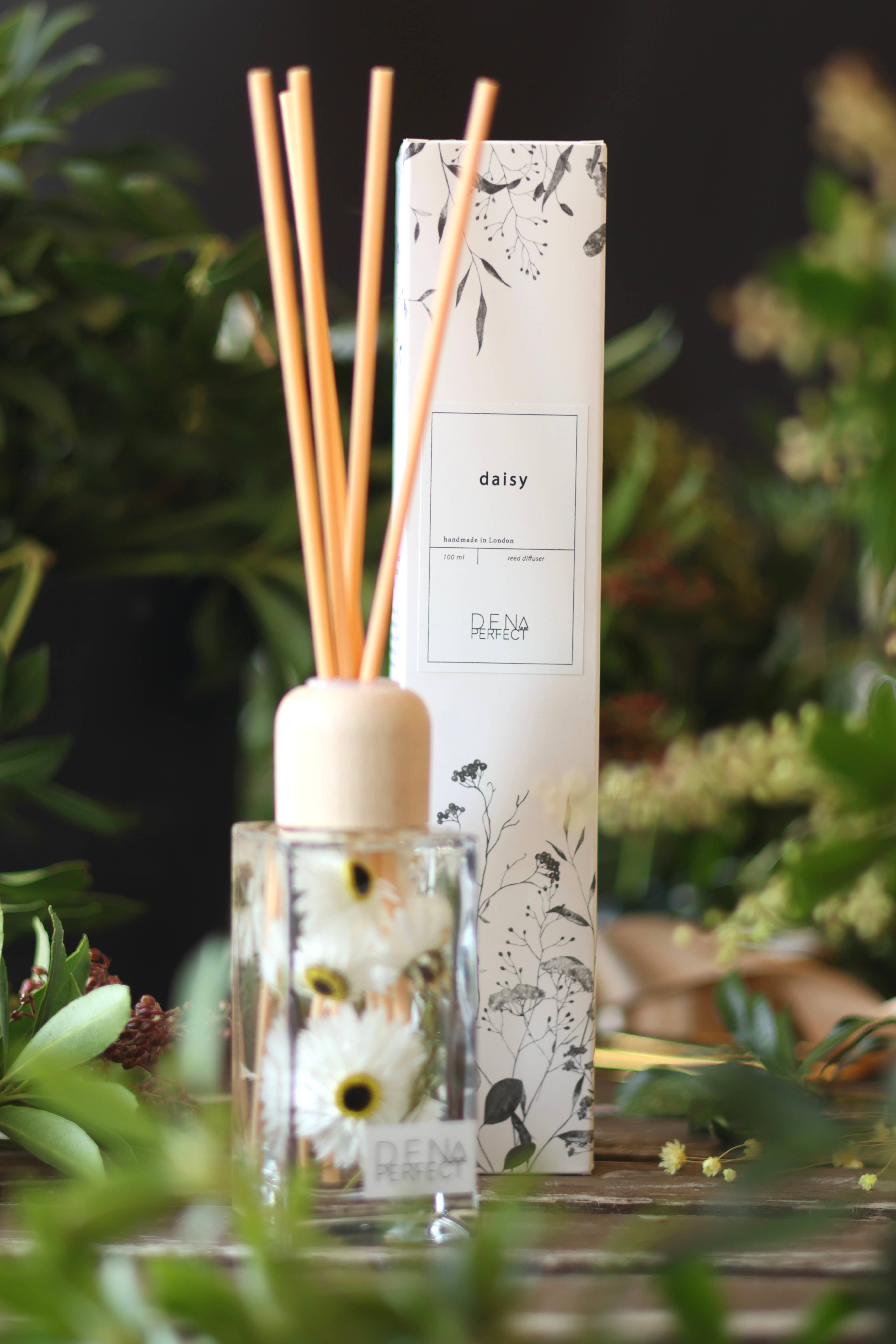 Den Perfect – Großhandel Reed-Diffusor – Daisy Botanical Reed Diffuser von Den Perfect1
