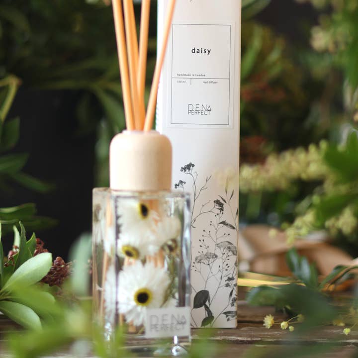 Den Perfect – Großhandel Reed-Diffusor – Daisy Botanical Reed Diffuser von Den Perfect1