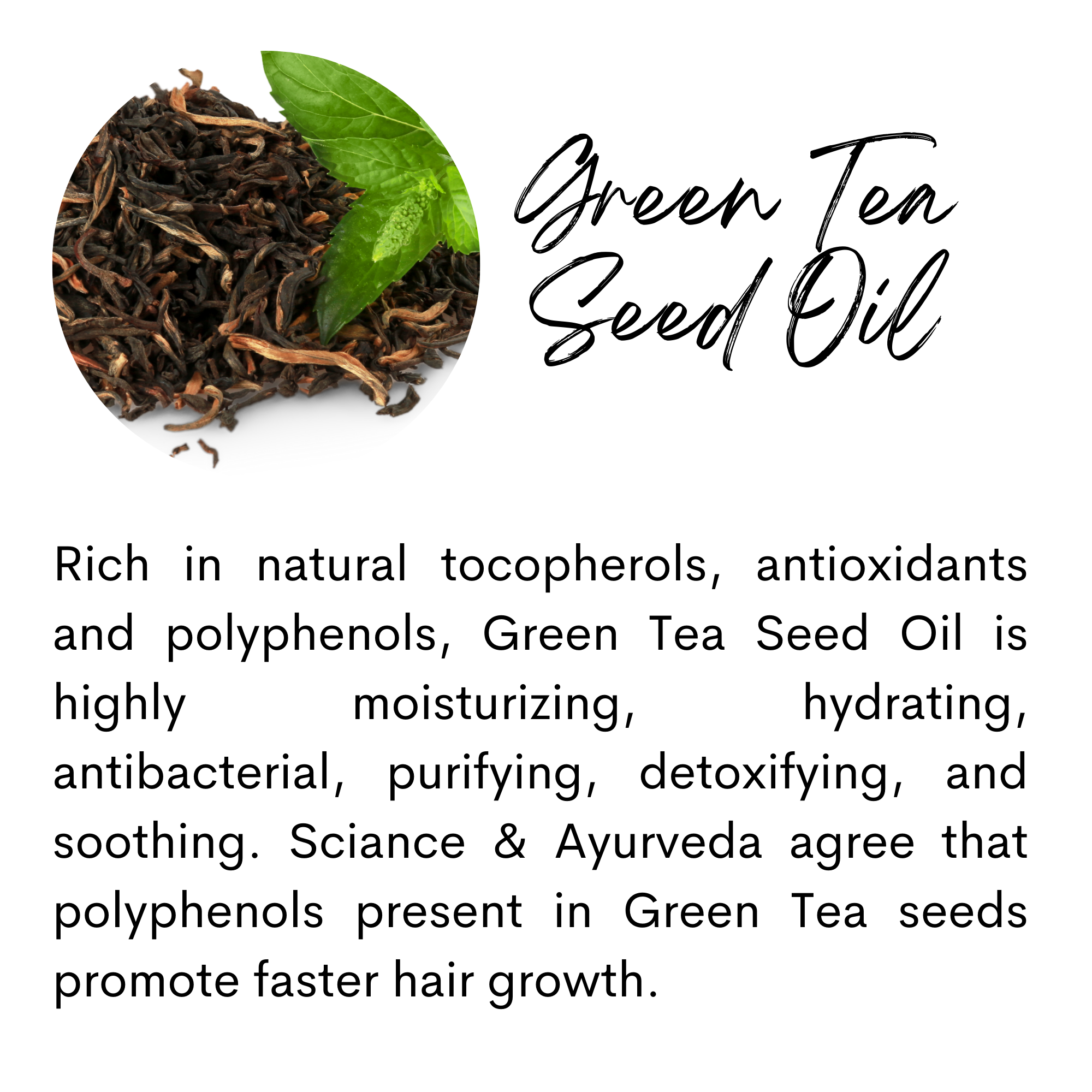 The Sacred Essence – wholesale Hårolja – HÖGRE VISDOM - 16 Kraftfull hårväxt och stärkande oljor21