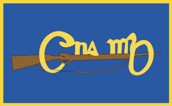 Worldwide Flags Ltd – wholesale Flag – Cumann Na Mban 5'x3'0