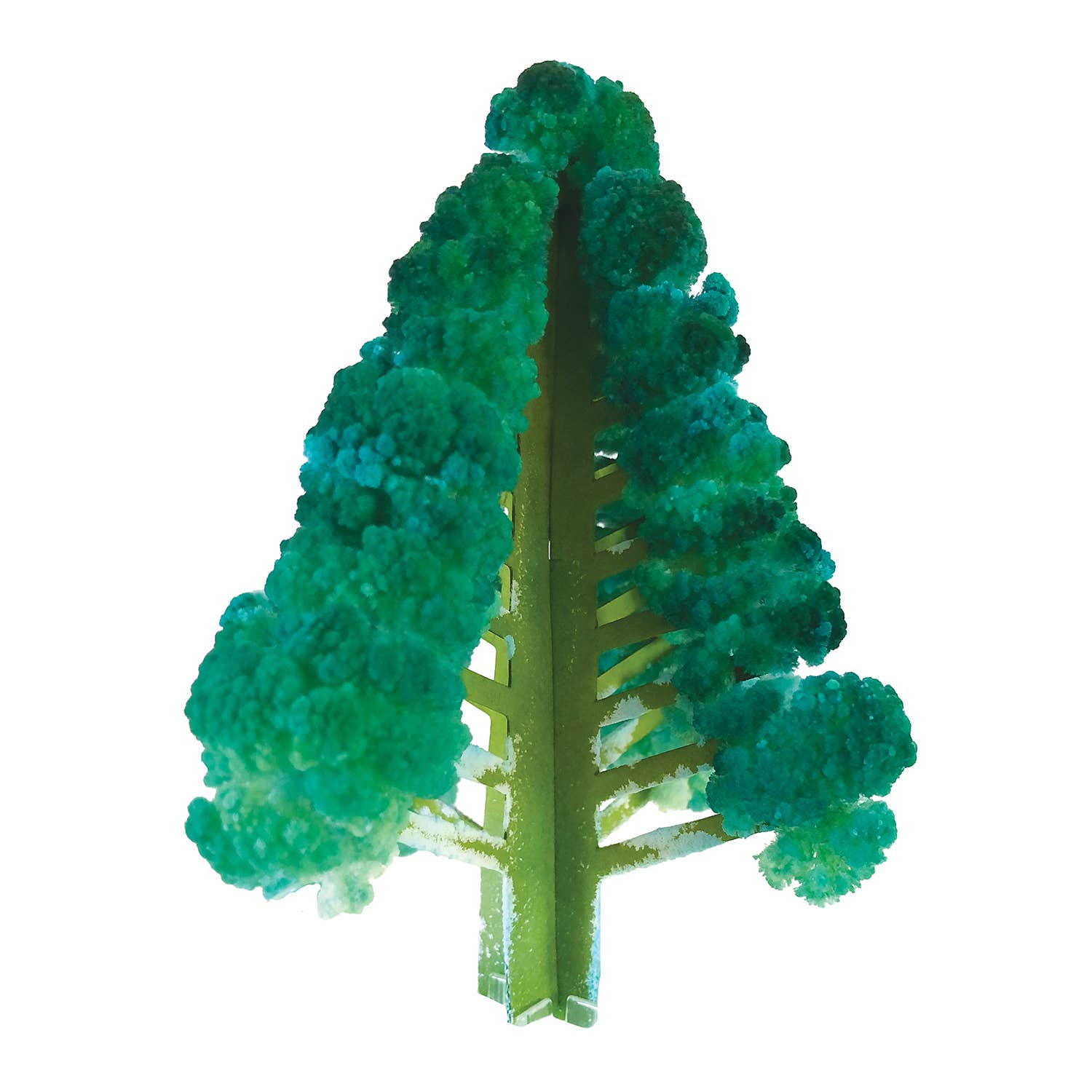 Copernicus Toys - Wholesale DIY Craft Kit - Crystal Growing Douglas Fir |
STEM craft kit3