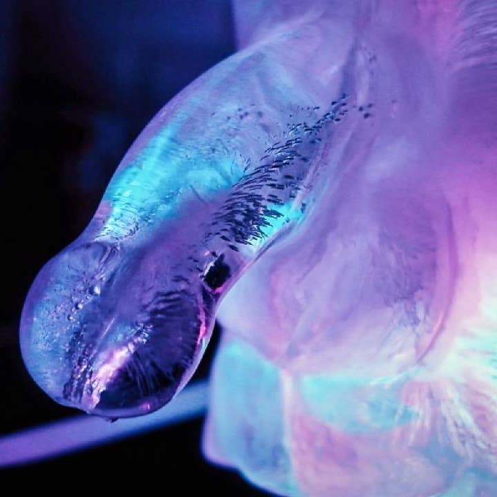 Creative Conceptions LLC - Wholesale Gag Gift/Novelty Gift - Huge Penis Ice Luge