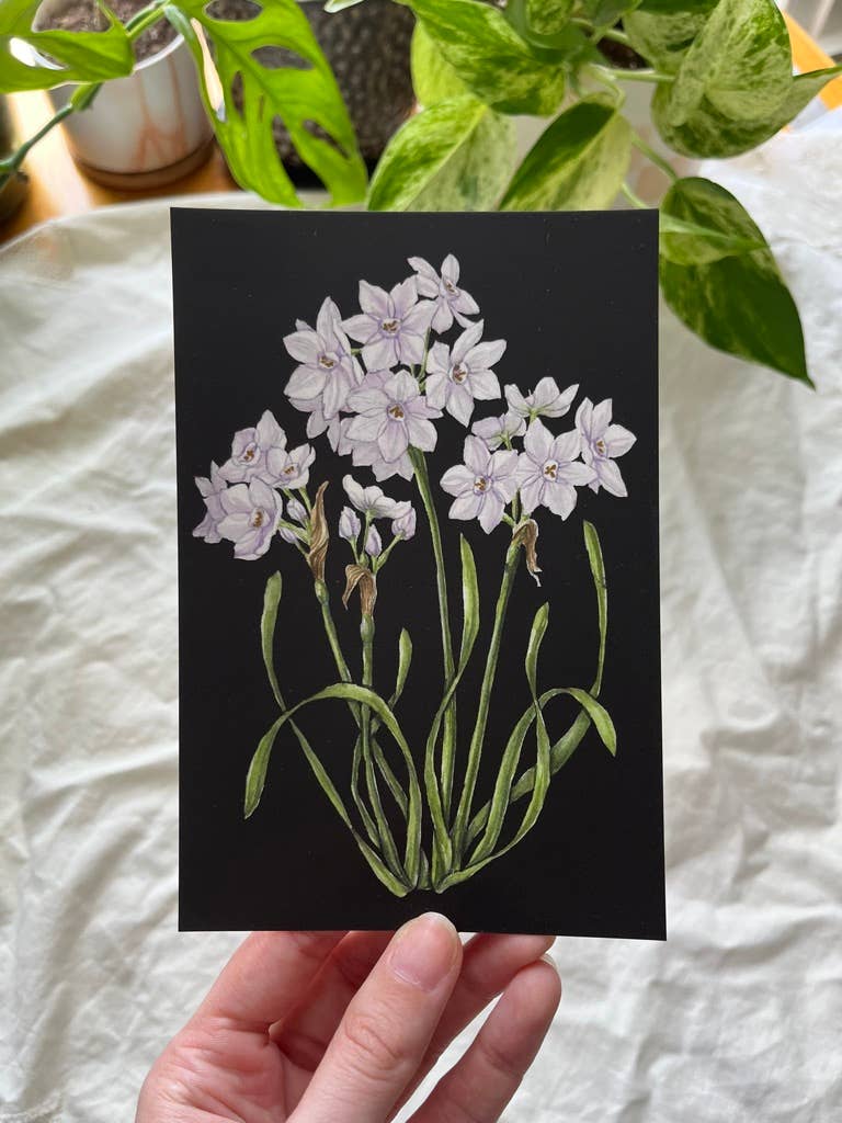 Lauren Noel Studio - Wholesale Postcard - Birth Month Flower Postcard13