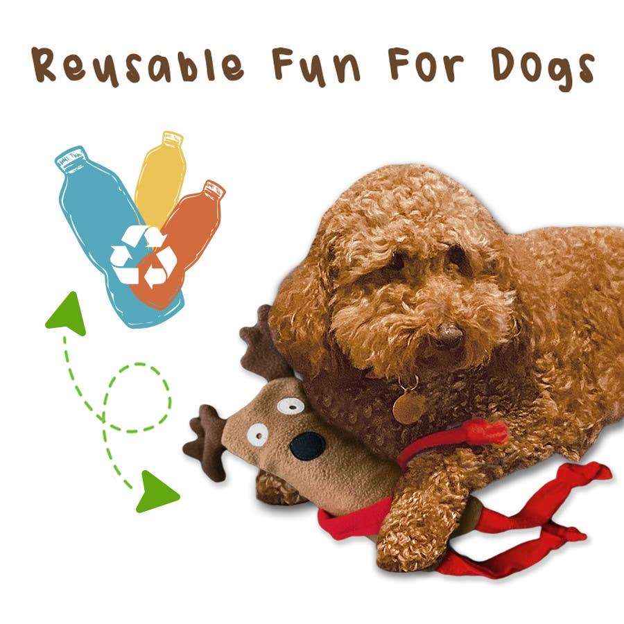 Cate and Levi - Wholesale Pet Plush Toy - Dog - Dog Toy | Water Bottle Cruncher6