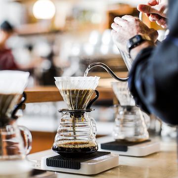 Sightglass Coffee Roasters - Wholesale Coffee Beans - Colombia, La Magdalena, 12 oz Organic Single Origin2