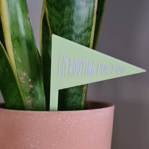 Plant Stake - I'm Rooting For You for wholesale by Livvy Rose Studio