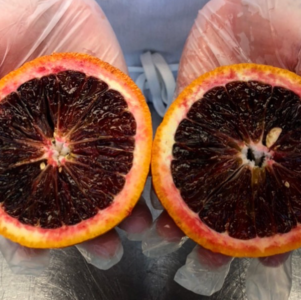 Josephine's Feast - Wholesale Jam/Jelly - Marmalades - Blood Orange2