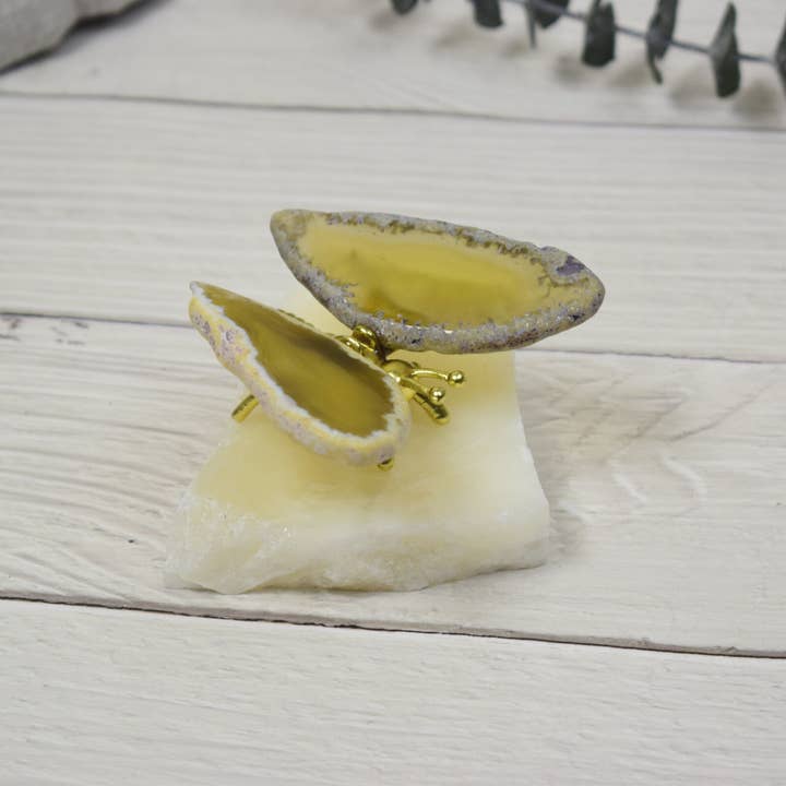 PIETRA DI CASA - Wholesale Knob/Pull - Little Butterfly knob | Decoration | Home Detail