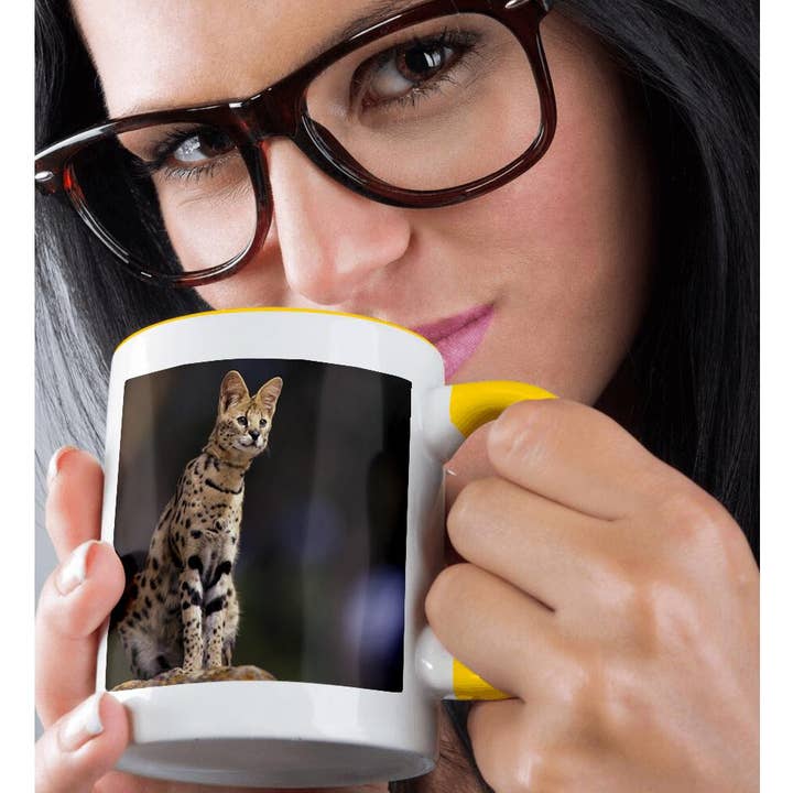3dRose - Wholesale Coffee Mug - 3dRose, Africa. Serval (Felis serval), wildlife - NA02 SWE0036 - Stuart Westmorland, Mug1