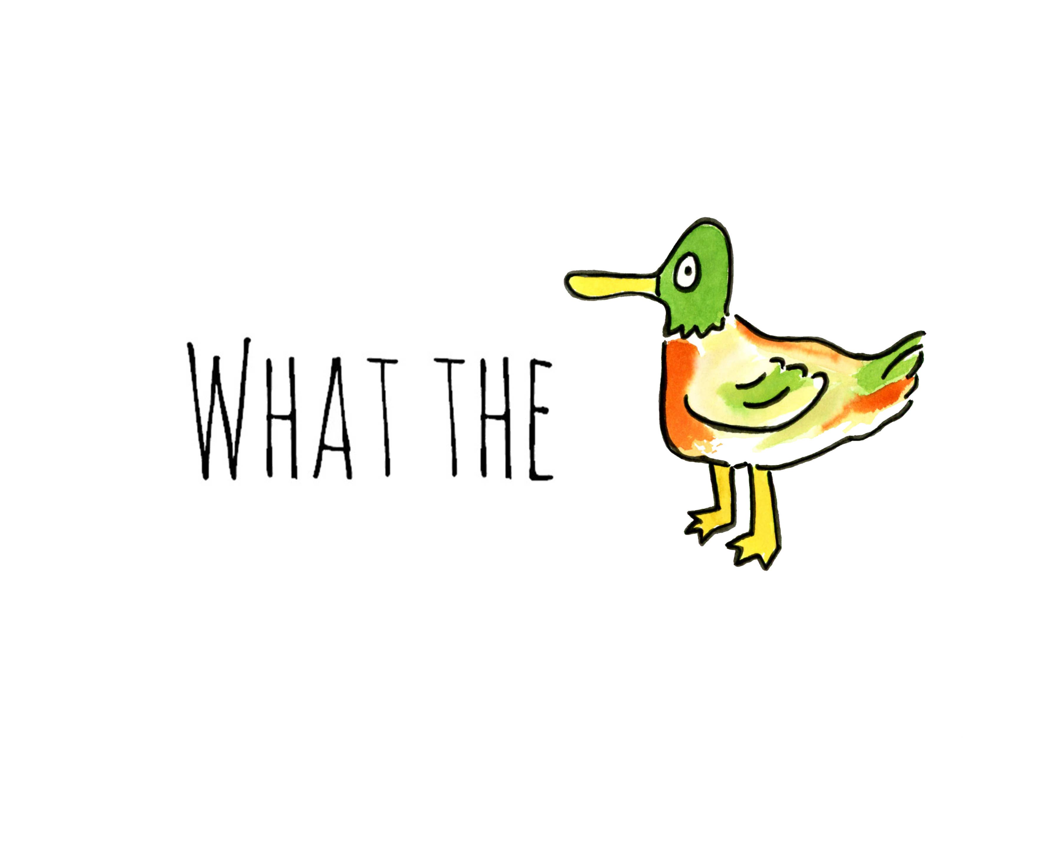 SquidCat, Ink - Wholesale Art Print - What The Duck Art Print2