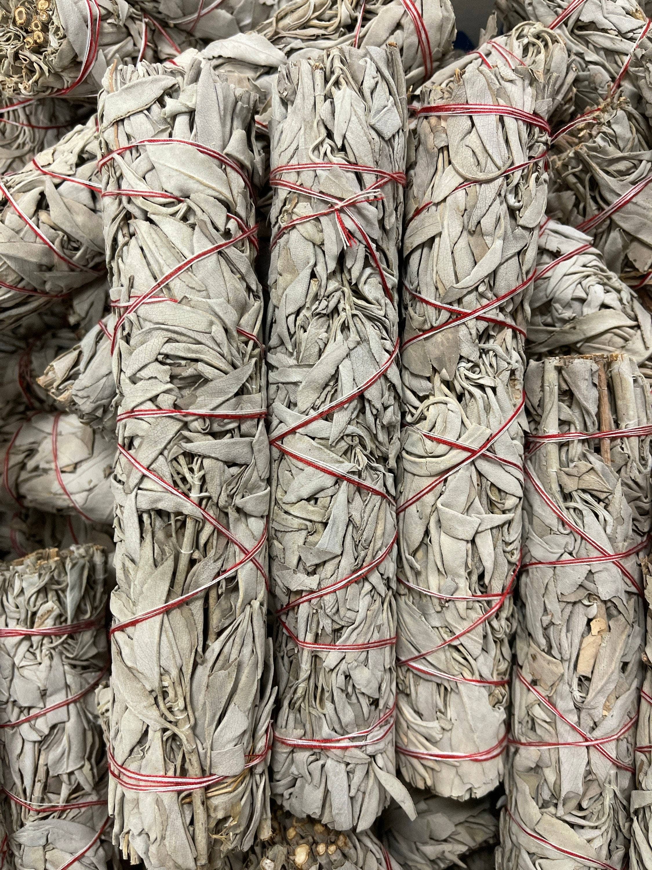 CaNatureLover - Vendita all'ingrosso Salvia - Bastoncini all'ingrosso della macchia della salvia bianca ORGANICA della California da 9 pollici, taglio laterale di alta qualità della salvia 21