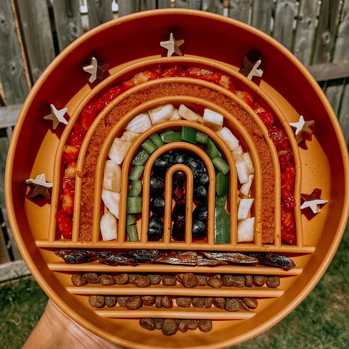 Bodhi & The Birchtree - Wholesale Pet bowl – Dog - Rainbow Enrichment Bowl Terracotta1