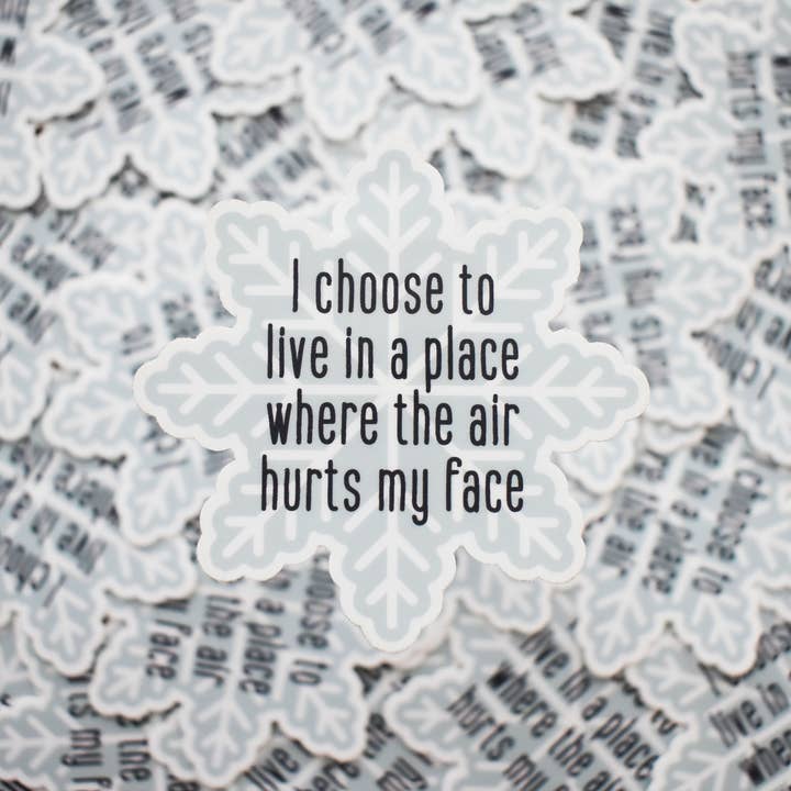 Wild North Co - Wholesale Sticker - Snowflake Sticker3