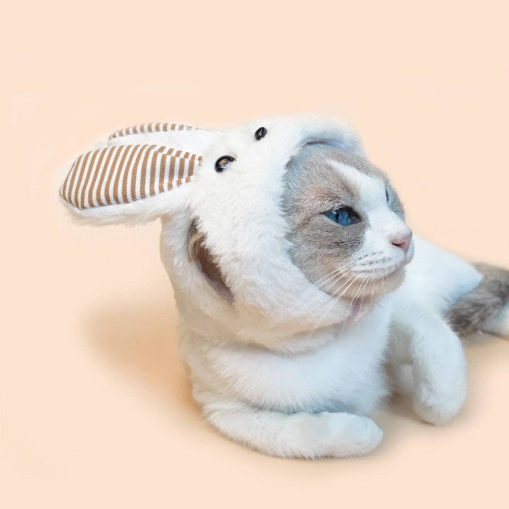 Cheerhunting - Wholesale Pet Costume - Cat - Ozzie - Fluffy Bunny Ears Hat for Cats3