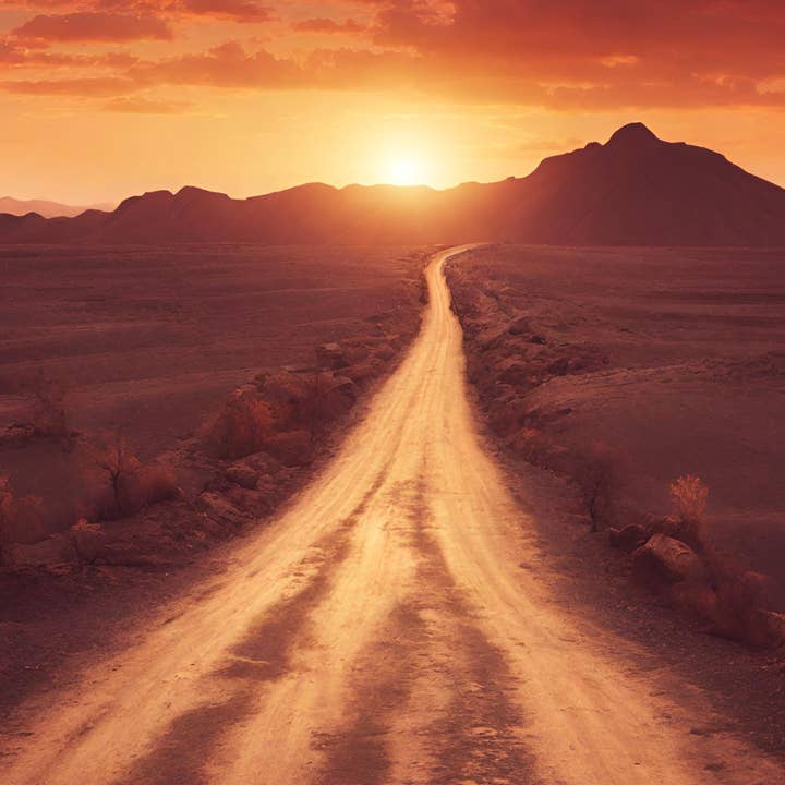 Dixie Grace - Wholesale Retailer Sample - Home Decor - Floral Sample Box - Laundry Detergent7