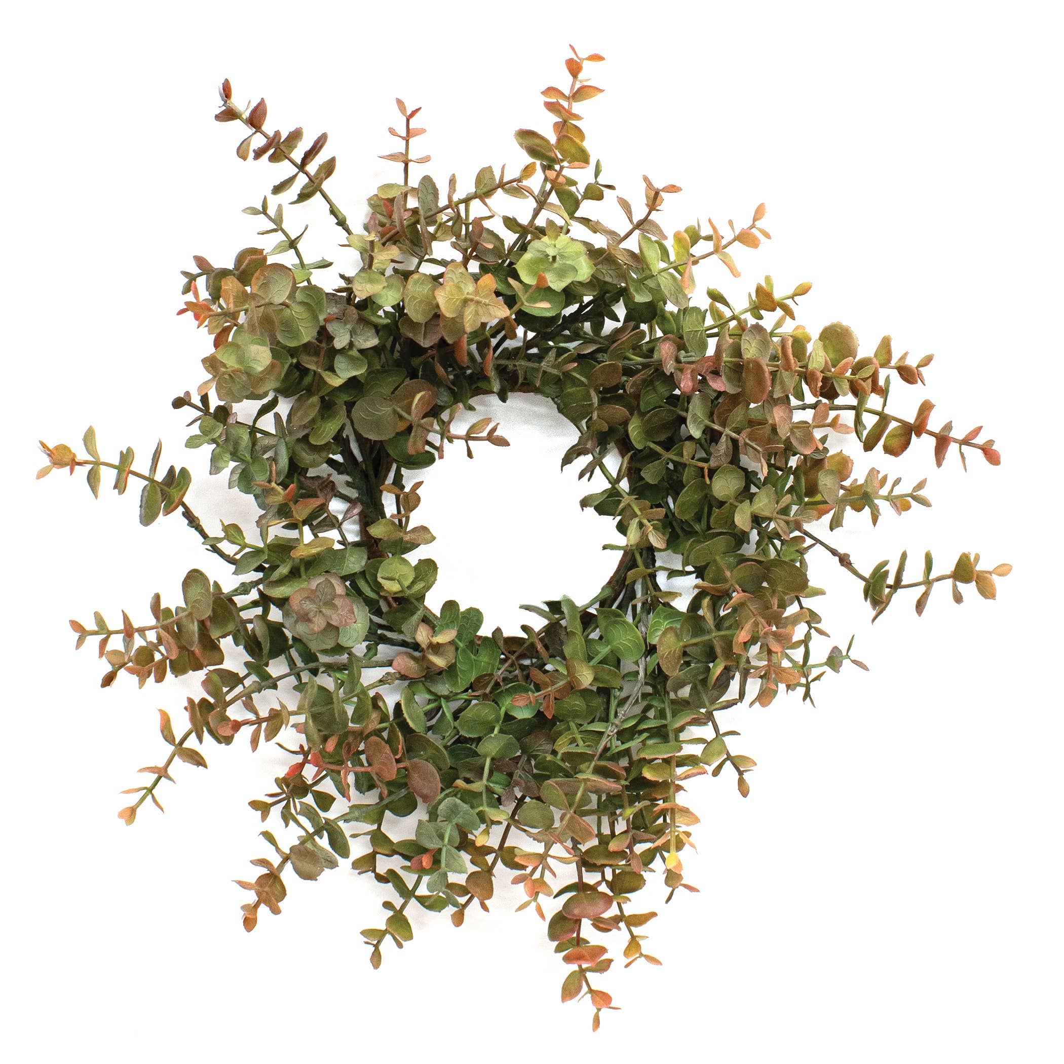 Saybrook Lane – Engroshandel Krans – Blød Touch Baby Eucalyptus Krans - Olivengrøn - 14"0