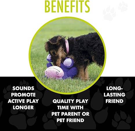 Caitec Inc - Wholesale Pet Chew Toy - Dog - Merchandising CHUCKLES Dump Bin1