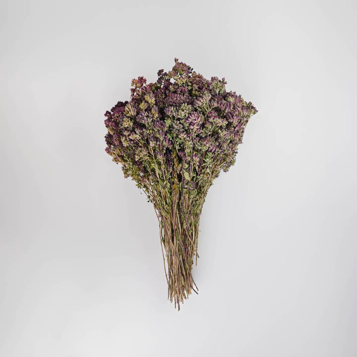 Silk Flower Depot - Vente Fleur séchée/pressée - Bouquet de fleurs d'origan séché - Santa Cruz