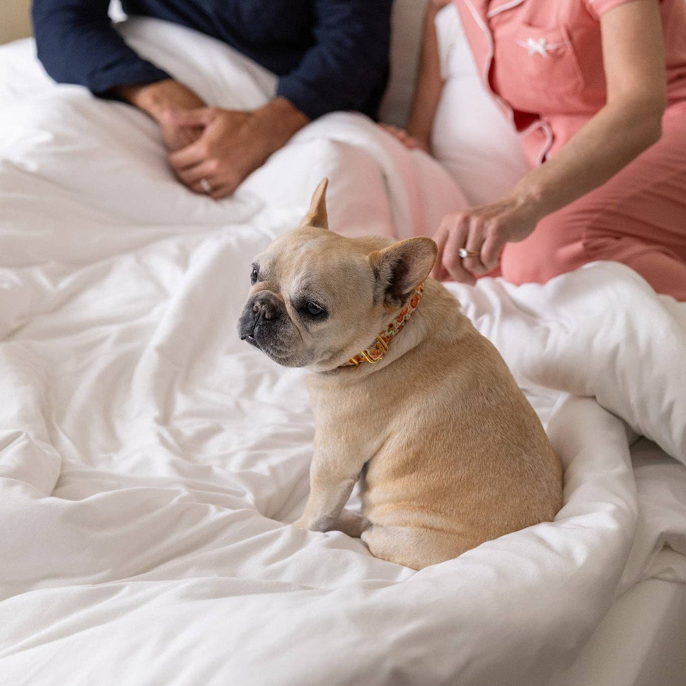 BleuBully Bedding - Wholesale Duvet Cover - Jersey Knit Duvet Cover in Ivory White3